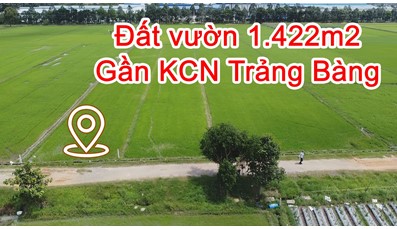 THCC10 Đất vườn Củ Chi 1.442m2 đường oto gần KCN Trảng Bàng & Linh Trung 3
