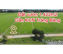 THCC10 Đất vườn Củ Chi 1.442m2 đường oto gần KCN Trảng Bàng & Linh Trung 3