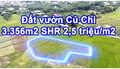 Đất vườn Củ Chi 3.356m2 tại xã Trung Lập Hạ - Tỉnh lộ 7