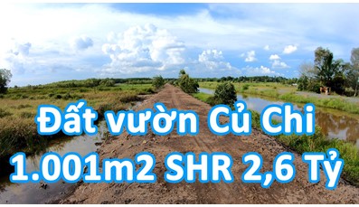 THCC18 Đất vườn Củ Chi 1.001m2 mặt tiền kênh 21 xã Thái Mỹ