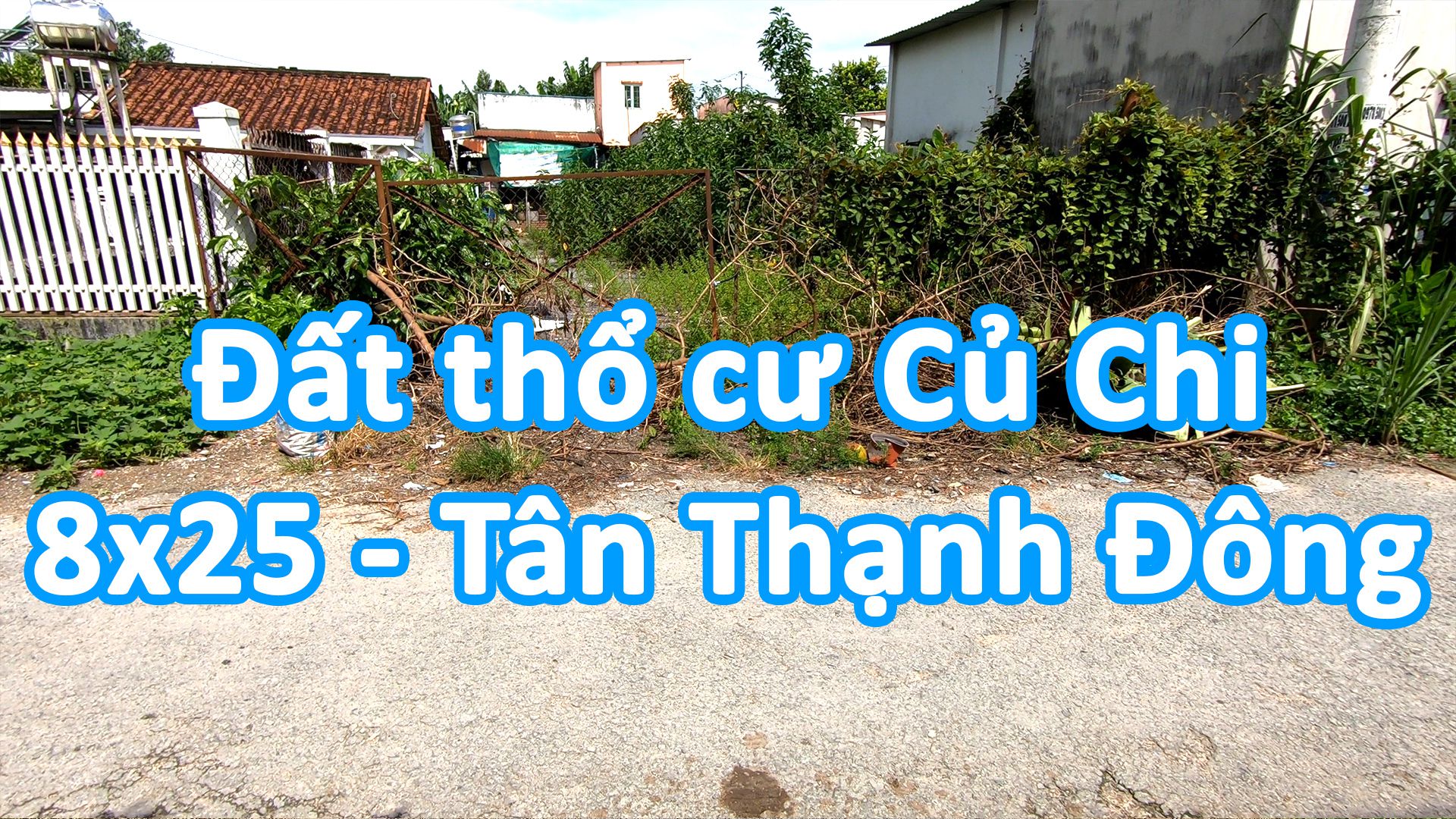 Đất nền thổ cư Củ Chi đường nhựa trung tâm xã Tân Thạnh Đông