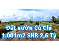 THCC18 Đất Củ Chi 1001,9m2 xã Thái Mỹ giáp ranh với tỉnh Long An (có sổ hồng riêng)