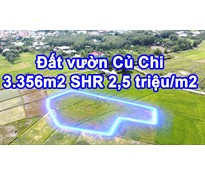 Đất vườn Củ Chi 3.356m2 tại xã Trung Lập Hạ - Tỉnh lộ 7