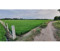 26CC14 Đất vườn 3364m2 xã Phú Hòa Đông gần đường Vành đai 3 tỉnh lộ 15 ngang 120m mặt kênh lớn