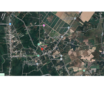 26CC23 Đất nền xã An Nhơn Tây 113m2 có 101m2 thổ cư đường xe hơi gần khu dân cư đông đúc