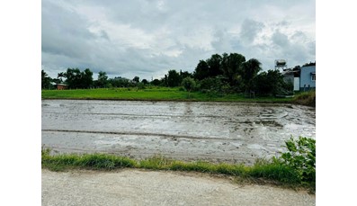 26CC24 Đất vườn xã Thái Mỹ 975m2 dân cư xã Phước Thạnh Củ Chi cách Quốc Lộ 22 1km