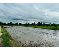 26CC24 Đất vườn xã Thái Mỹ 975m2 dân cư xã Phước Thạnh Củ Chi cách Quốc Lộ 22 1km