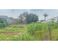 26CC25 Đất làm nhà vườn xã Thái Mỹ 1011m2 có 300m2 thổ cư gần chợ gần trường học nằm trong khu dân cư đông đúc