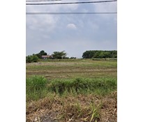 26CC116 Đất làm nhà vườn xã Thái Mỹ tổng diện tích 3540m2 có 1735m2 thổ cư gần Kênh Đông